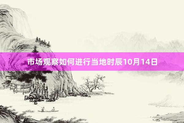 市场观察如何进行当地时辰10月14日