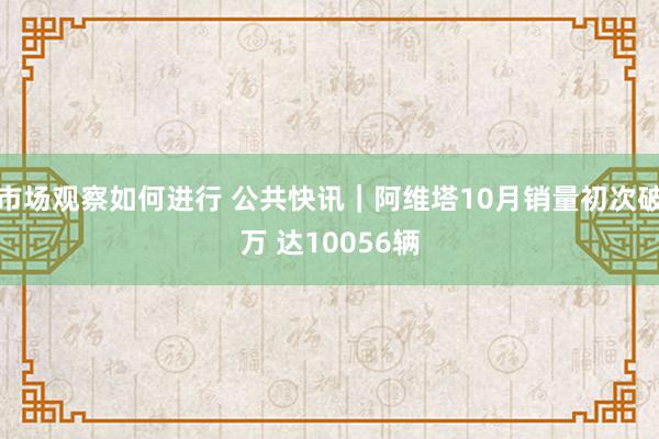 市场观察如何进行 公共快讯｜阿维塔10月销量初次破万 达10056辆