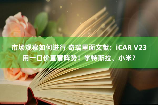 市场观察如何进行 奇瑞里面文献：iCAR V23用一口价直营阵势！学特斯拉、小米？