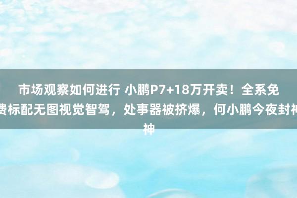 市场观察如何进行 小鹏P7+18万开卖！全系免费标配无图视觉智驾，处事器被挤爆，何小鹏今夜封神