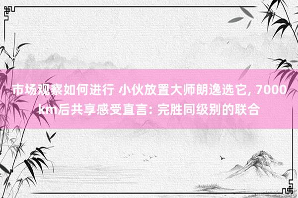 市场观察如何进行 小伙放置大师朗逸选它, 7000km后共享感受直言: 完胜同级别的联合