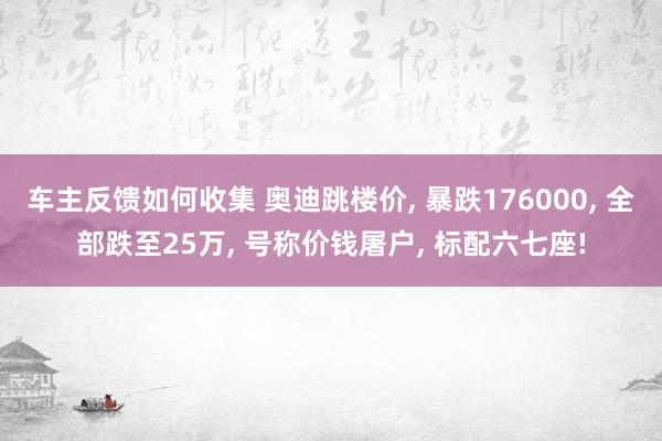 车主反馈如何收集 奥迪跳楼价, 暴跌176000, 全部跌至25万, 号称价钱屠户, 标配六七座!