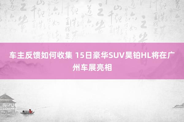 车主反馈如何收集 15日豪华SUV昊铂HL将在广州车展亮相