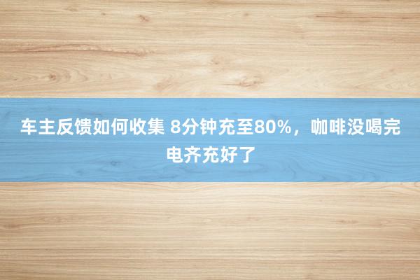 车主反馈如何收集 8分钟充至80%，咖啡没喝完电齐充好了