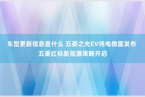 车型更新信息是什么 五菱之光EV纯电微面发布 五菱红标新能源策略开启