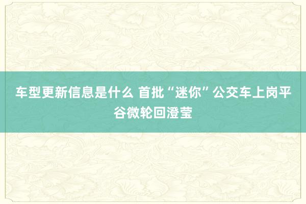 车型更新信息是什么 首批“迷你”公交车上岗平谷微轮回澄莹