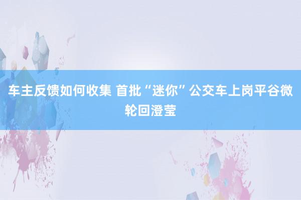 车主反馈如何收集 首批“迷你”公交车上岗平谷微轮回澄莹