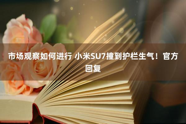 市场观察如何进行 小米SU7撞到护栏生气！官方回复