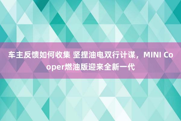 车主反馈如何收集 坚捏油电双行计谋，MINI Cooper燃油版迎来全新一代