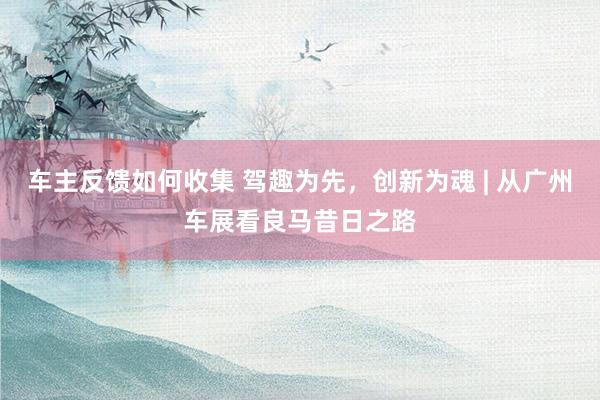 车主反馈如何收集 驾趣为先，创新为魂 | 从广州车展看良马昔日之路