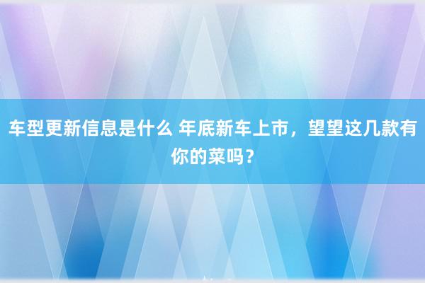 车型更新信息是什么 年底新车上市，望望这几款有你的菜吗？