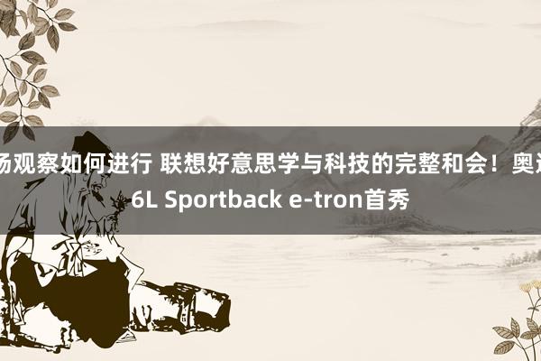 市场观察如何进行 联想好意思学与科技的完整和会！奥迪Q6L Sportback e-tron首秀