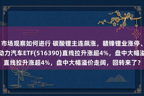 市场观察如何进行 碳酸锂主连飙涨，赣锋锂业涨停、宁德期间涨3%，新动力汽车ETF(516390)直线拉升涨超4%，盘中大幅溢价走阔，回转来了？