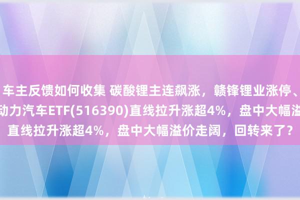 车主反馈如何收集 碳酸锂主连飙涨，赣锋锂业涨停、宁德时期涨3%，新动力汽车ETF(516390)直线拉升涨超4%，盘中大幅溢价走阔，回转来了？