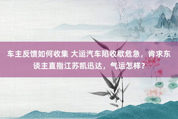 车主反馈如何收集 大运汽车陷收歇危急，肯求东谈主直指江苏凯迅达，气运怎样？