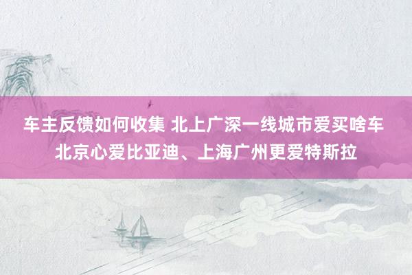 车主反馈如何收集 北上广深一线城市爱买啥车 北京心爱比亚迪、上海广州更爱特斯拉