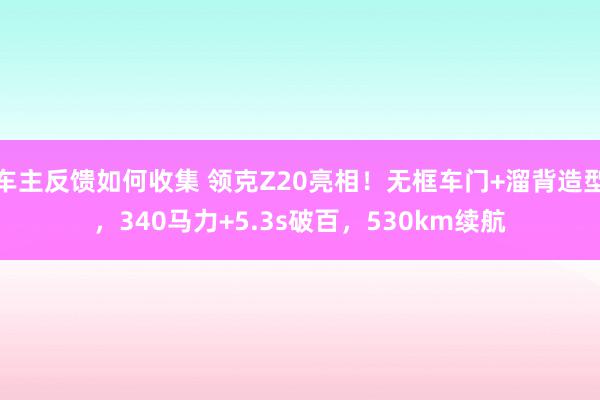 车主反馈如何收集 领克Z20亮相！无框车门+溜背造型，340马力+5.3s破百，530km续航