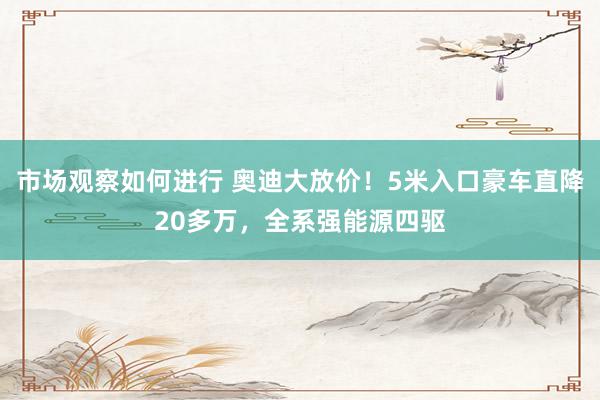 市场观察如何进行 奥迪大放价！5米入口豪车直降20多万，全系强能源四驱