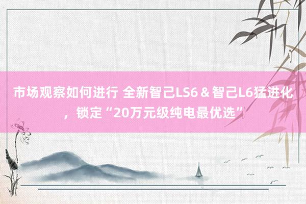 市场观察如何进行 全新智己LS6＆智己L6猛进化，锁定“20万元级纯电最优选”