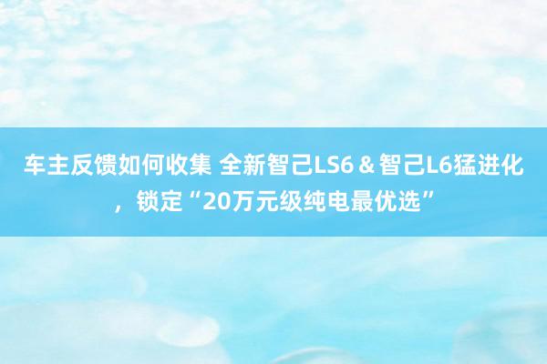 车主反馈如何收集 全新智己LS6＆智己L6猛进化，锁定“20万元级纯电最优选”