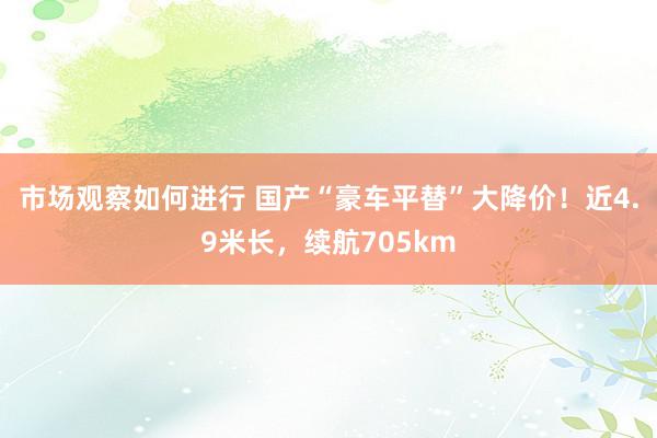 市场观察如何进行 国产“豪车平替”大降价！近4.9米长，续航705km