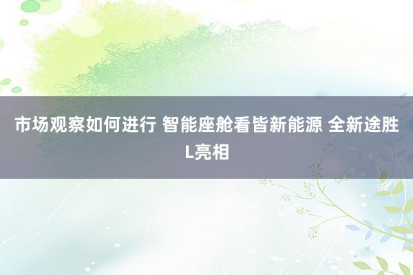 市场观察如何进行 智能座舱看皆新能源 全新途胜L亮相