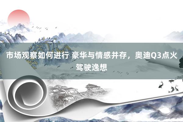 市场观察如何进行 豪华与情感并存，奥迪Q3点火驾驶逸想