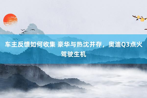 车主反馈如何收集 豪华与热沈并存，奥迪Q3点火驾驶生机