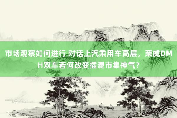 市场观察如何进行 对话上汽乘用车高层，荣威DMH双车若何改变插混市集神气？