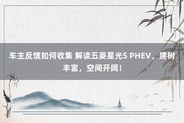 车主反馈如何收集 解读五菱星光S PHEV，建树丰富，空间开阔！