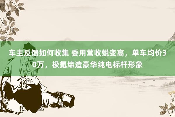 车主反馈如何收集 委用营收蜕变高，单车均价30万，极氪缔造豪华纯电标杆形象