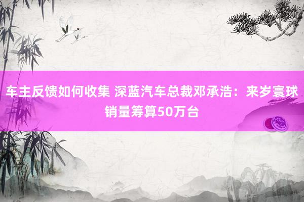 车主反馈如何收集 深蓝汽车总裁邓承浩：来岁寰球销量筹算50万台