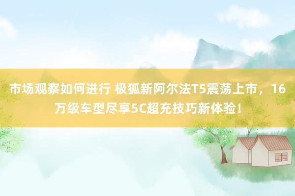 市场观察如何进行 极狐新阿尔法T5震荡上市，16万级车型尽享5C超充技巧新体验！