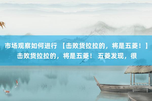 市场观察如何进行 【击败货拉拉的，将是五菱！】 击败货拉拉的，将是五菱！ 五菱发现，很