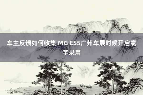 车主反馈如何收集 MG ES5广州车展时候开启寰宇录用