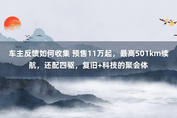 车主反馈如何收集 预售11万起，最高501km续航，还配四驱，复旧+科技的聚会体