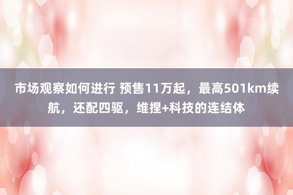 市场观察如何进行 预售11万起，最高501km续航，还配四驱，维捏+科技的连结体