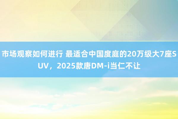 市场观察如何进行 最适合中国度庭的20万级大7座SUV，2025款唐DM-i当仁不让