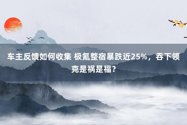 车主反馈如何收集 极氪整宿暴跌近25%，吞下领克是祸是福？