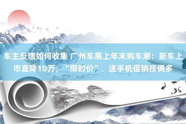 车主反馈如何收集 广州车展上年末购车潮：新车上市直降10万，“限时价”、送手机促销技俩多