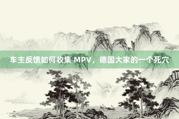 车主反馈如何收集 MPV，德国大家的一个死穴