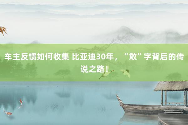 车主反馈如何收集 比亚迪30年，“敢”字背后的传说之路！