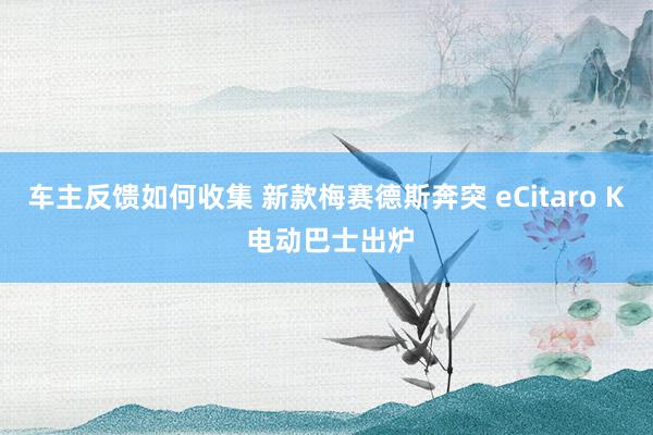 车主反馈如何收集 新款梅赛德斯奔突 eCitaro K 电动巴士出炉