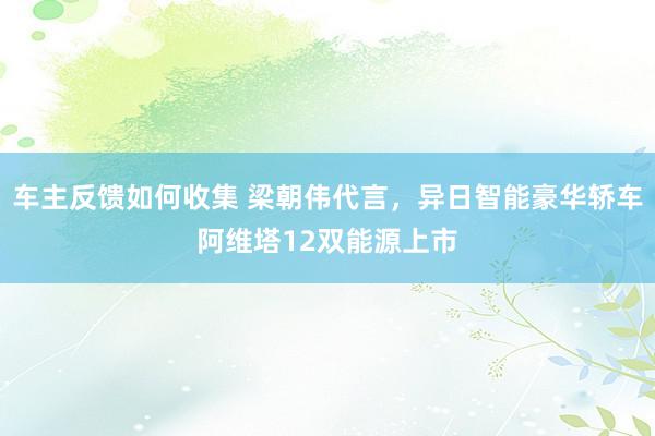 车主反馈如何收集 梁朝伟代言，异日智能豪华轿车阿维塔12双能源上市