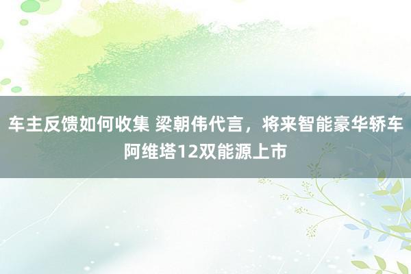 车主反馈如何收集 梁朝伟代言，将来智能豪华轿车阿维塔12双能源上市