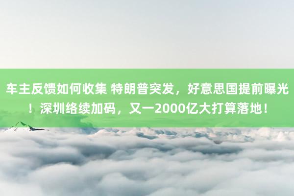 车主反馈如何收集 特朗普突发，好意思国提前曝光！深圳络续加码，又一2000亿大打算落地！