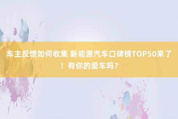 车主反馈如何收集 新能源汽车口碑榜TOP50来了！有你的爱车吗？