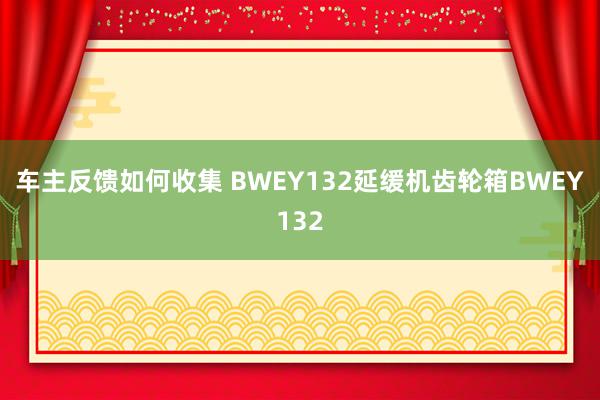 车主反馈如何收集 BWEY132延缓机齿轮箱BWEY132