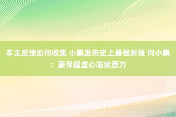 车主反馈如何收集 小鹏发布史上最强财报 何小鹏：要保握虚心陆续悉力