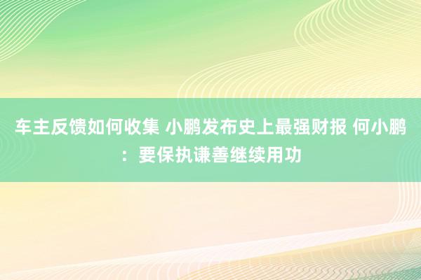 车主反馈如何收集 小鹏发布史上最强财报 何小鹏：要保执谦善继续用功